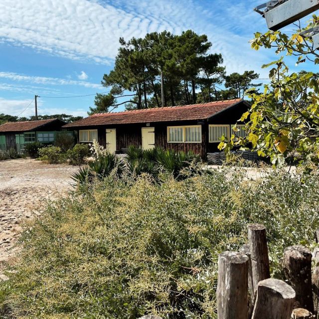Un week-end détente au Cap Ferret, 5 activités à faire 🌿 (🇬🇧 version below)
.
Il y a quelques semaines nous sommes allées au Bassin d'Arcachon et nous avons passés une nuit au @domaine_du_ferret. Deux jours pour profiter et se détendre après ces derniers mois qui n'ont pas été de tout repos (et les prochains ne le seront pas non plus ! 🙂)
.
C'était notre première fois dans ce coin alors on a voulu découvrir tout en étant en mode relax 😎 Je vous ai donc écrit un article avec 5 activités que nous avons faites. Objectifs : explorer un cadre naturel qui invite par lui-même à la détente et profiter du moment présent ✨
.
1 : séjourner au Domaine du Ferret Balnéo & Spa (ou juste y aller pour la partie massages et balnéo, ça marche aussi !)
2 : déguster des huîtres les pieds dans l'eau
3 : découvrir les environs à vélo
4 : promenade dans les ruelles de Piraillan, de Canon et de l'Herbe
5 : profiter des plages côté Atlantique ou côté Bassin d'Arcachon
.
J'espère que ce post vous sera utile et que vous irez lire l'article sur le blog pour plus de détails ! N'hésitez pas à commenter et à partager ce post 🧡
.
A relaxing weekend in Cap Ferret, 5 activities to do 🌿
.
A few weeks ago we went to the Bassin d'Arcachon and spent a night at @domaine_du_ferret. Two days to enjoy and chill out after the last few months that have been quite busy (and the next few will be no different ! 🙂 )
.
It was our first time in this corner so we wanted to discover while having a laid-back vibe 😎 I wrote you an article with 5 activities we did. Our goals : explore a natural setting that is an invitation by itself to relax and enjoy the moment ✨
.
1: Stay at Domaine du Ferret Balneo & Spa (or just go there for the massage and balneo part, that works too !).
2 : Enjoy oysters with your toes in the water
3 : Discover the surroundings by bike
4 : Stroll through the little alleys of Piraillan, Canon and L'Herbe
5 : Enjoy the beaches on the Atlantic side or the Bassin d'Arcachon side
.
I hope this post will be useful to you and that you will read the article on the blog for more details! Feel free to comment and share this post 🧡